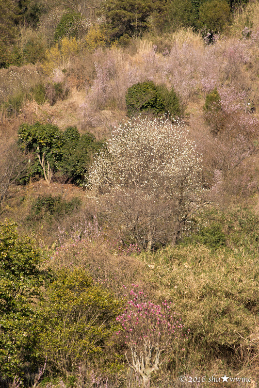 a0142976_18403725.jpg