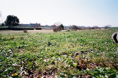 f0046982_19553441.jpg