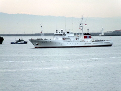 b0192588_93626.jpg