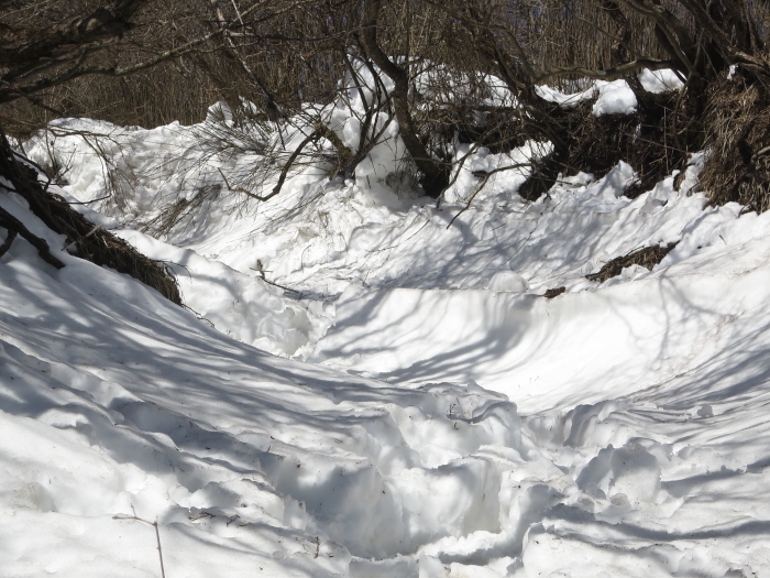 b0339488_22390850.jpg