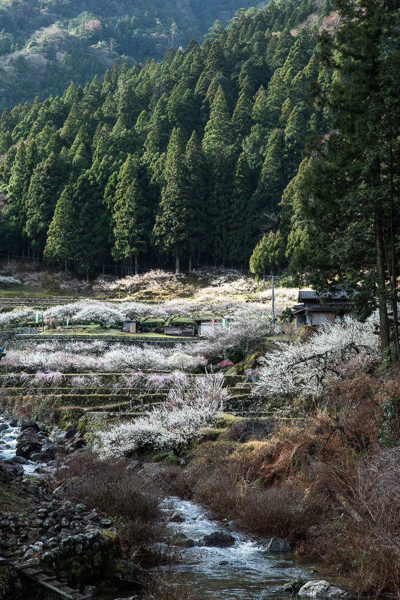 川売の里　前編_c0298391_20381598.jpg