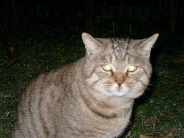 d0057701_11242537.jpg