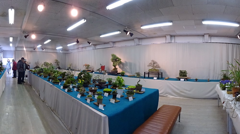 b0052108_1621723.jpg