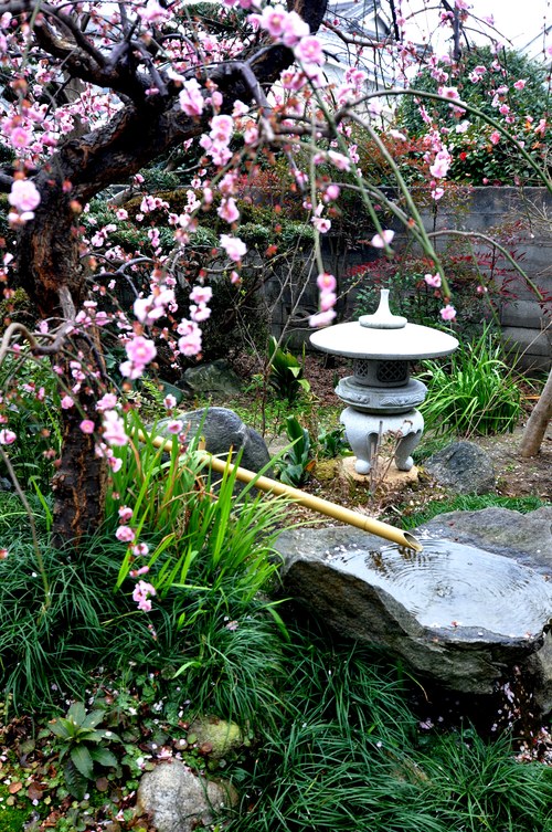 隣花庵さんOPEN!_f0150413_04715100.jpg