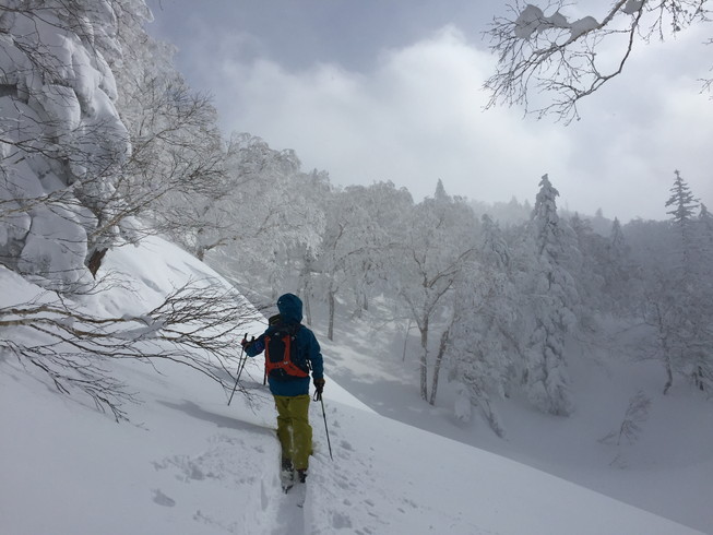 2016年1月　『大人の雪遊び、深雪を滑る』　January 2016 \"Ski in the deep & powder snow\"_c0219616_22017.jpg