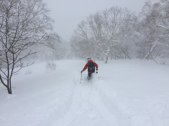 2016年1月　『大人の雪遊び、深雪を滑る』　January 2016 \"Ski in the deep & powder snow\"_c0219616_2201875.jpg