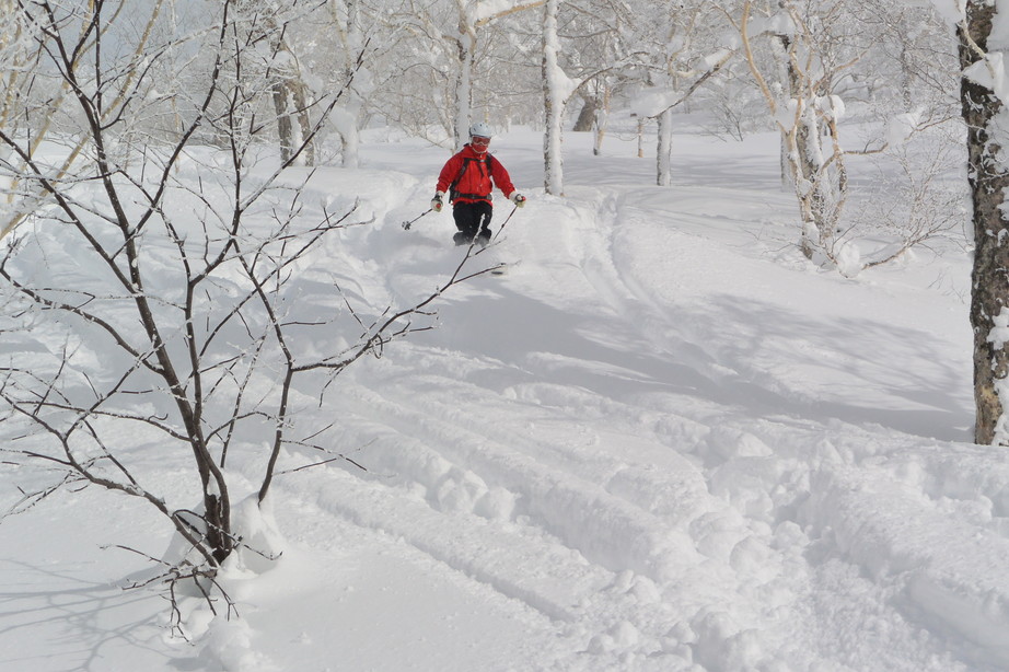 2016年1月　『大人の雪遊び、深雪を滑る』　January 2016 \"Ski in the deep & powder snow\"_c0219616_223785.jpg