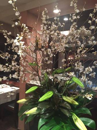 桜_e0025817_00184264.jpg