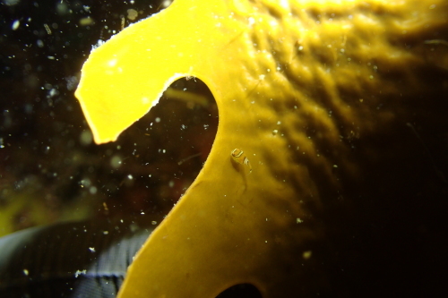 c0115421_21475276.jpg