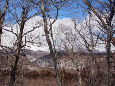 蔦赤沼スノーランブリング(十和田市)*2016.03.12_b0147224_22383863.jpg