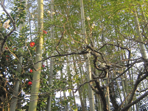 d0162225_22551233.jpg