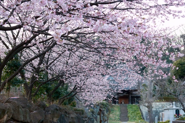 【西方寺】_f0348831_11132019.jpg