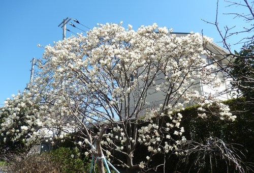 びっくりポンです。_b0137932_14305374.jpg