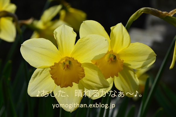 c0359535_11162362.jpg