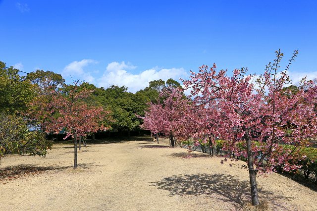 a0242438_20105640.jpg