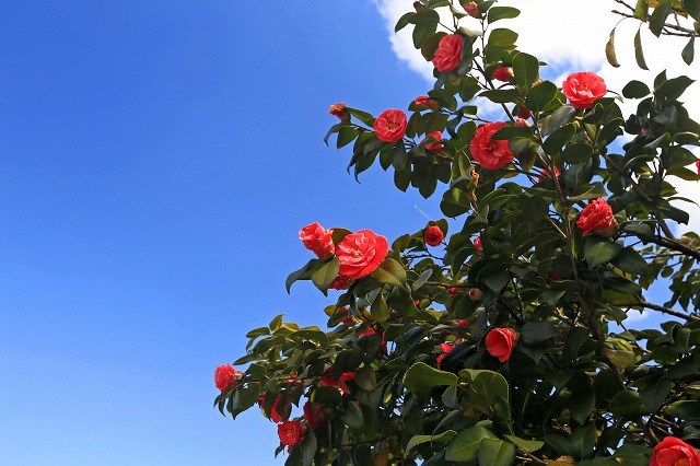 a0242438_2011238.jpg