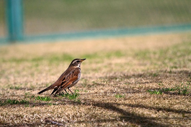 a0242438_20114517.jpg