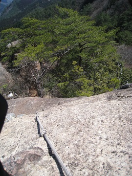 c0077338_8263618.jpg