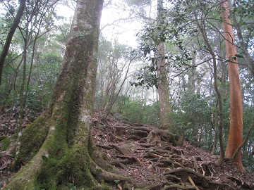c0077338_8274828.jpg