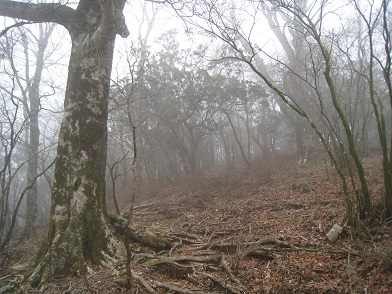 c0077338_828101.jpg