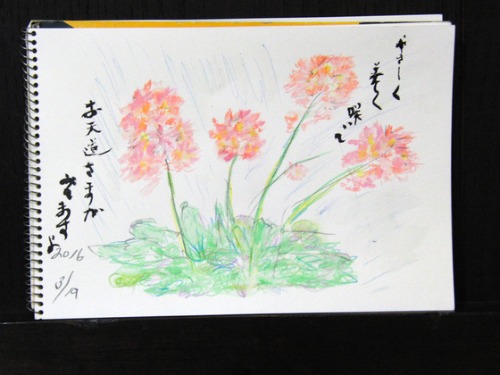 色鉛筆(水彩)画 ~ やさしく美しく咲いて ~_e0222340_15523616.jpg