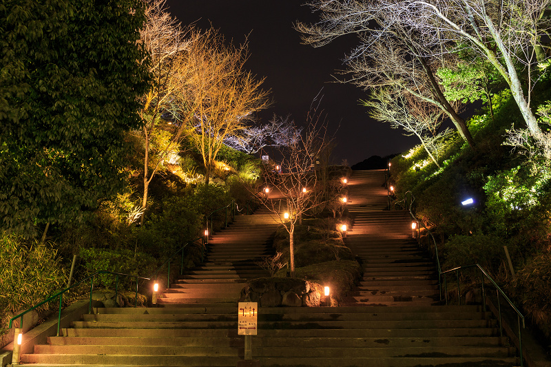 東山花灯路2016_f0155048_1194667.jpg