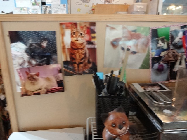 阿猫地攤(猫cafe) 内部装飾 _b0248150_09273564.jpg