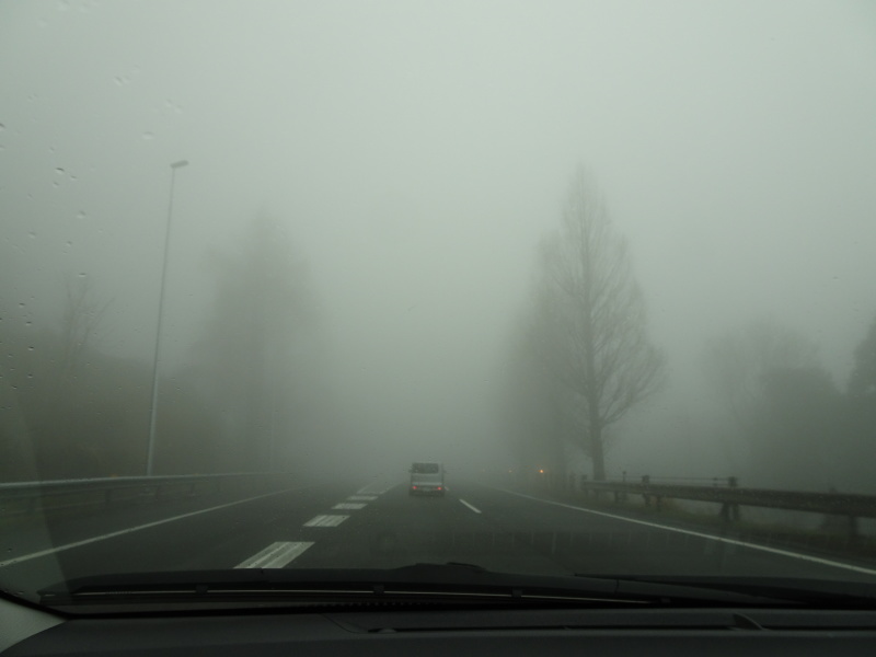 c0108460_20394579.jpg