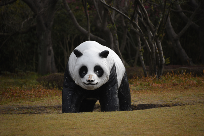 超ビミョーな鹿児島の珍スポット!桜島自然恐竜公園写真_e0171573_2313050.jpg