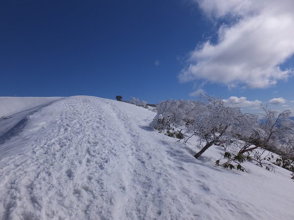 北陸の秀峰「荒島岳」に孤高の戦いに挑みに行く。_c0066176_8593552.jpg