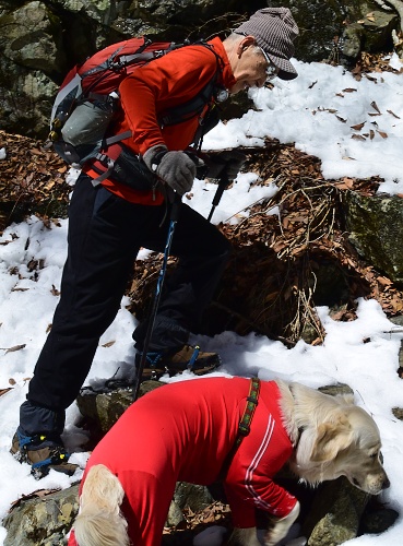 雪の岩コース（その１）_b0136381_1234251.jpg