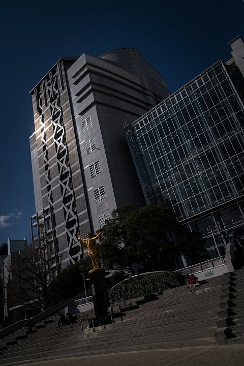 斜に構えた春の光_d0353489_22444351.jpg