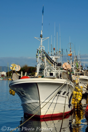 函館ベイサイド・ウォーク～北海道第一歩の地と新島襄_b0155692_1732524.jpg