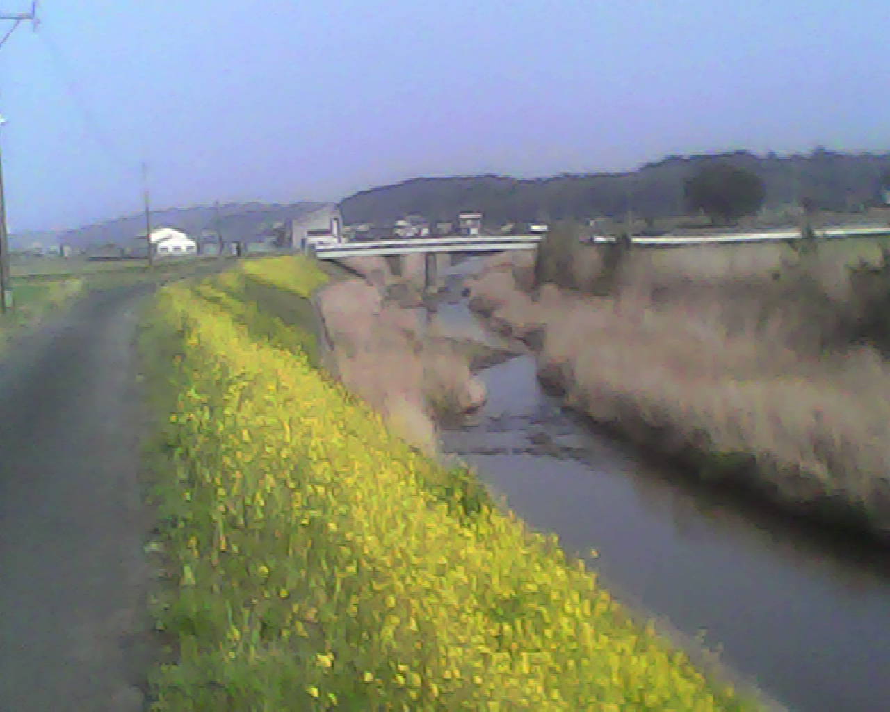 a0335493_19254818.jpg