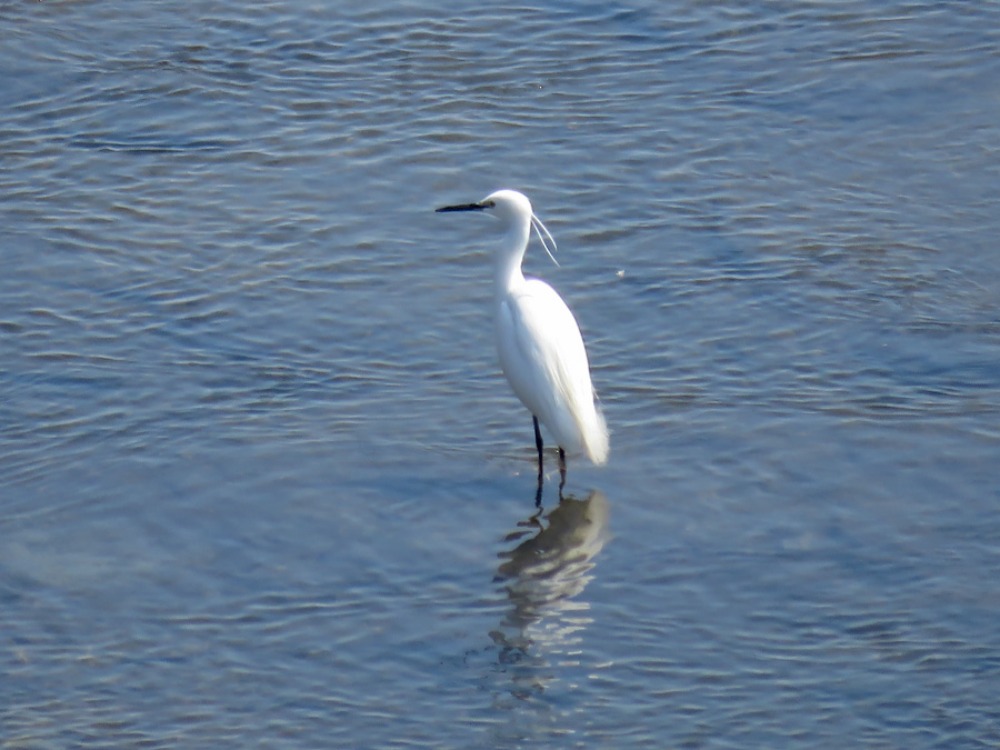 c0049299_22445910.jpg