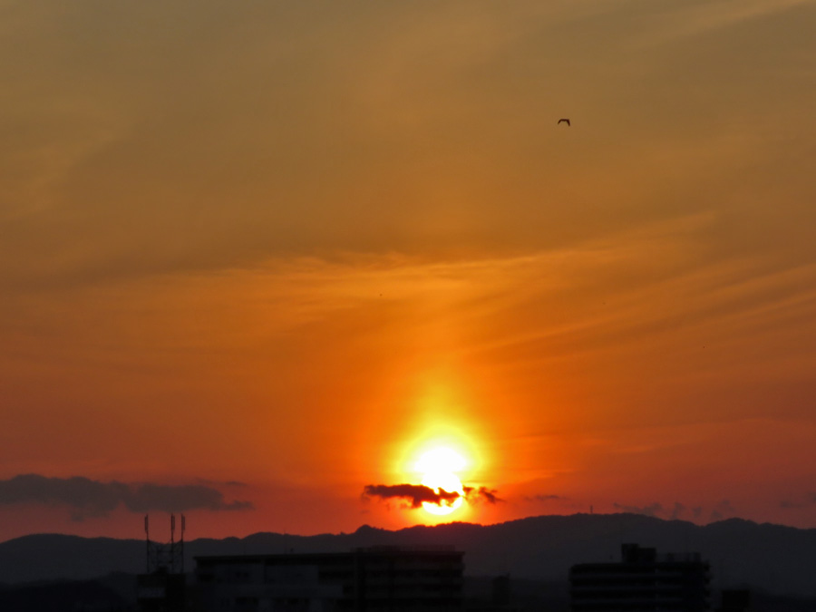 c0049299_22555545.jpg