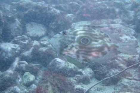 e0115199_13413402.jpg