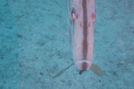 e0115199_13500087.jpg