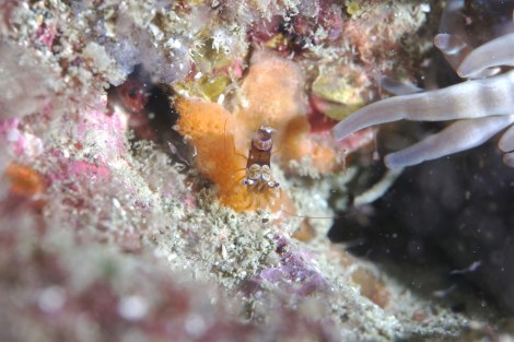 e0115199_20233247.jpg