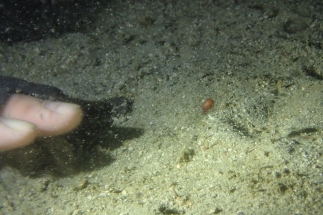 e0115199_20280124.jpg