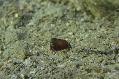 e0115199_20280744.jpg