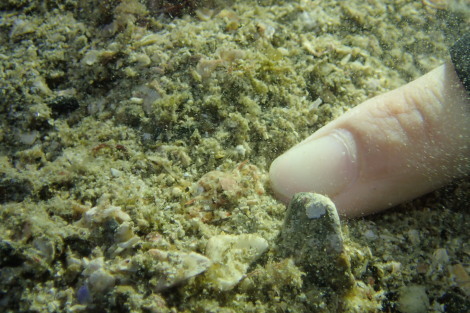 e0115199_20283445.jpg