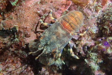 e0115199_20285228.jpg