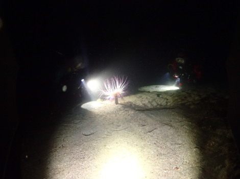 e0115199_20321662.jpg