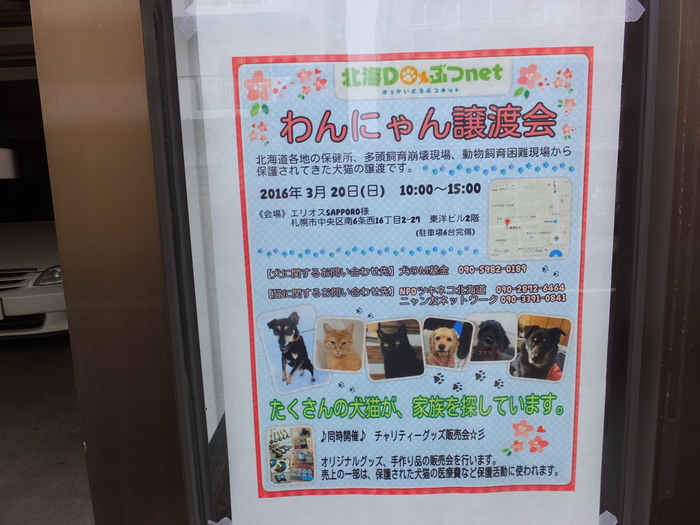 出来ることから始めよう! 里親募集 譲渡会に行ってきました!_c0226202_17455666.jpg