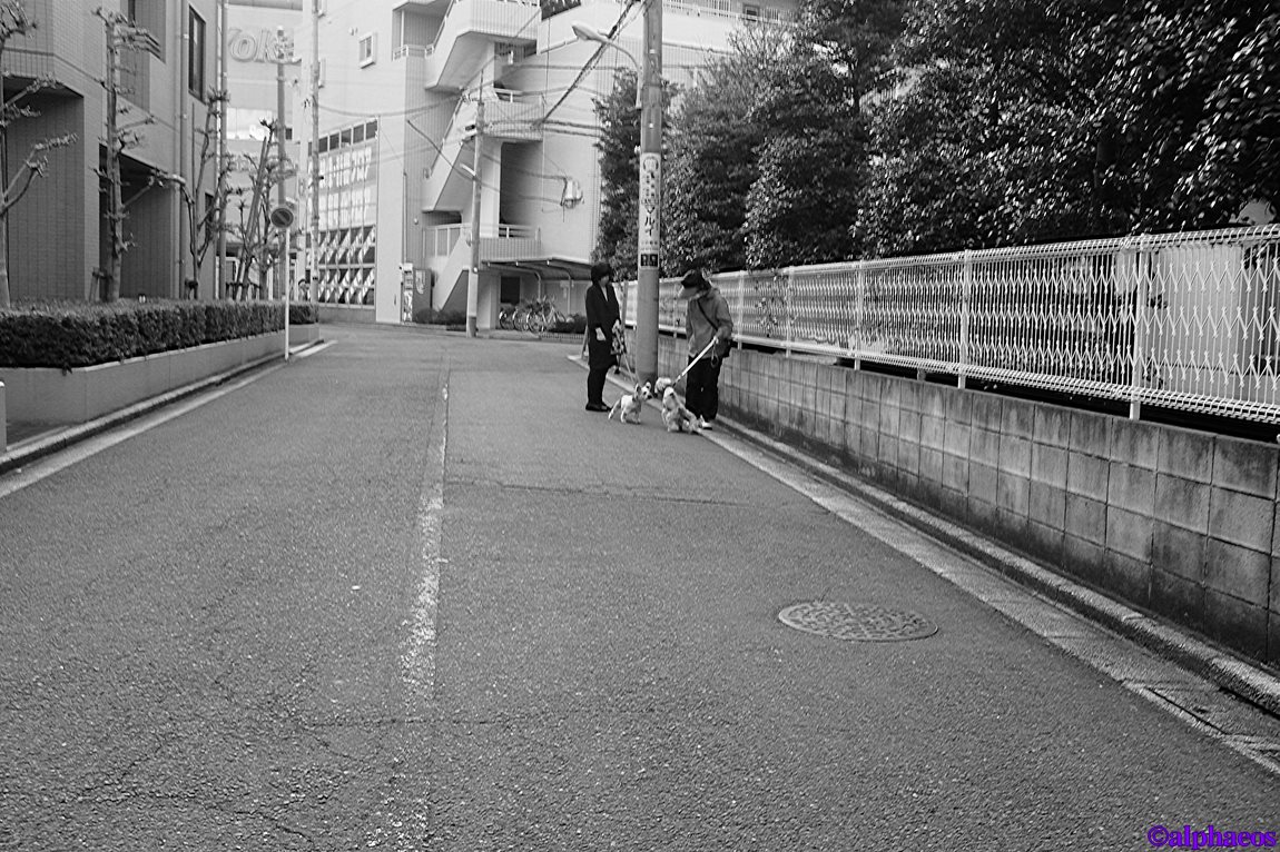 2016年3月20日　FUJIFILM X100T_a0060403_17323583.jpg