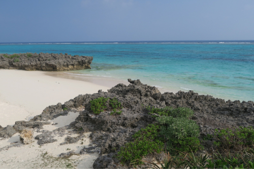 d0147406_12515447.jpg