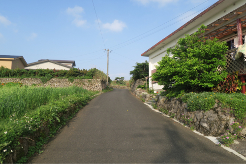 d0147406_12560132.jpg