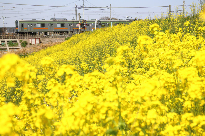 b0353411_23275179.jpg