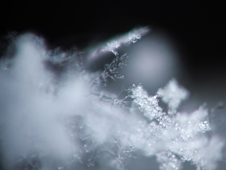 d0339411_17471681.jpg
